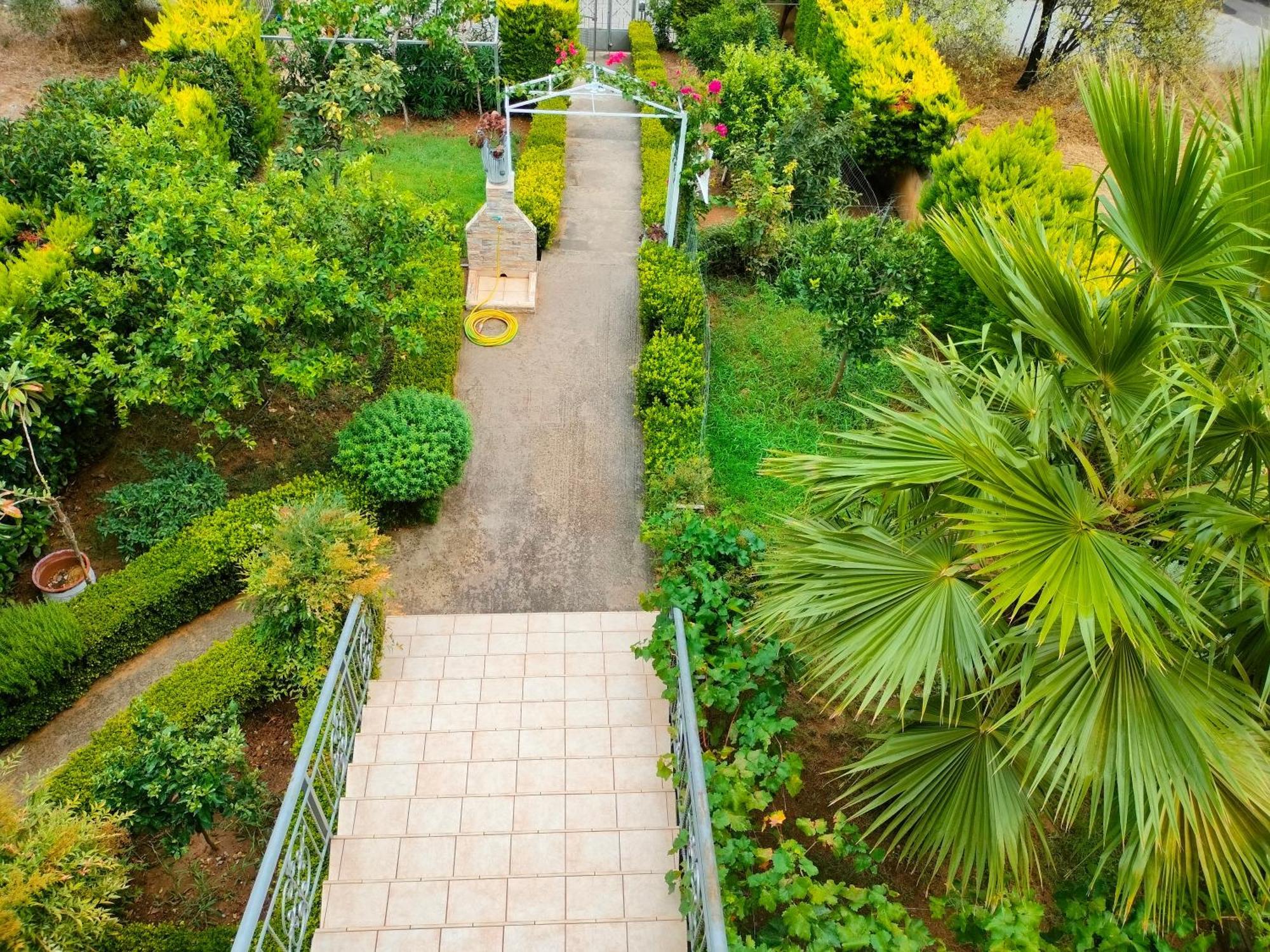 House With Wonderful View Apartment Lefkandi Chalkidas Luaran gambar