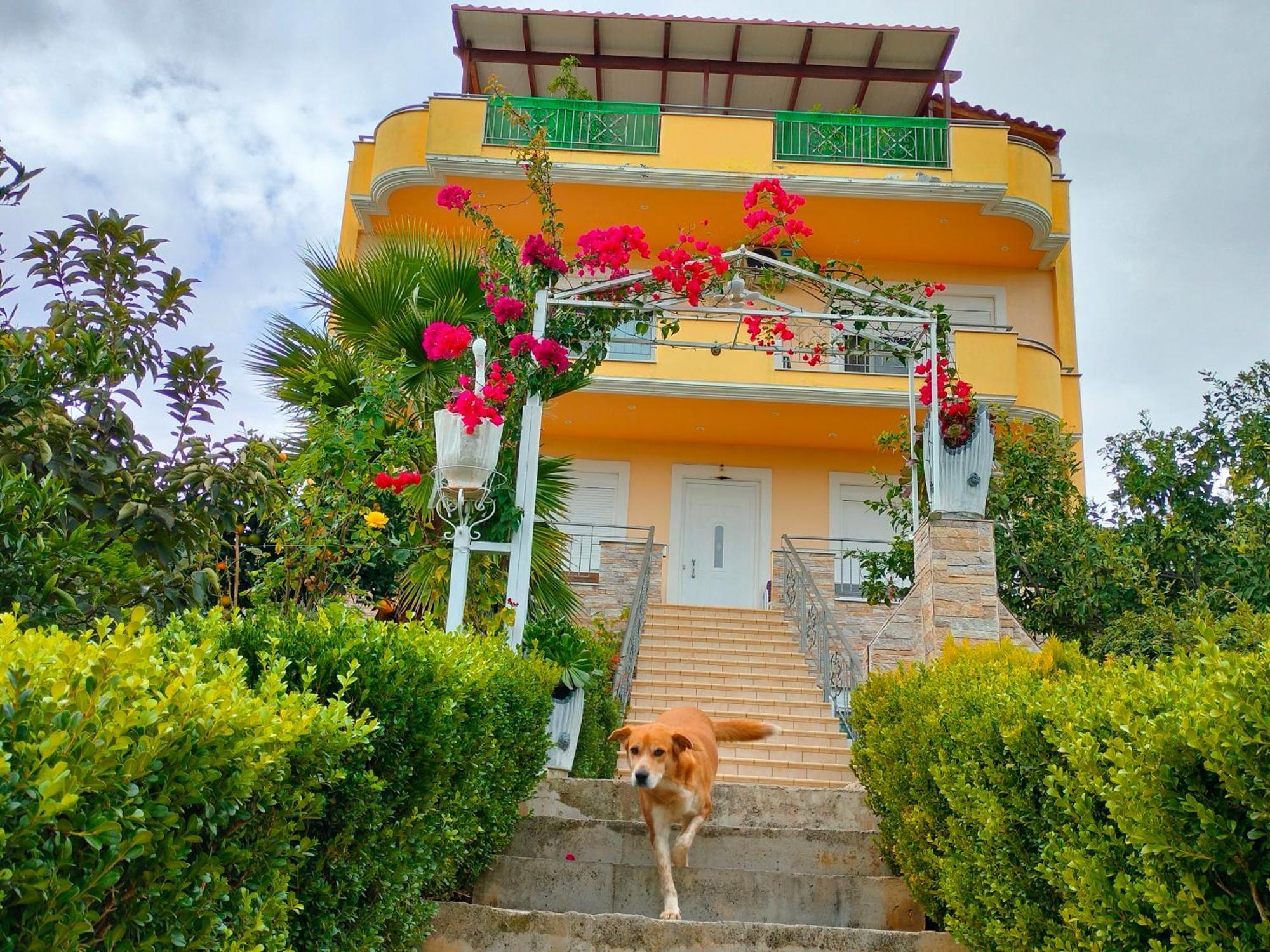 House With Wonderful View Apartment Lefkandi Chalkidas Luaran gambar